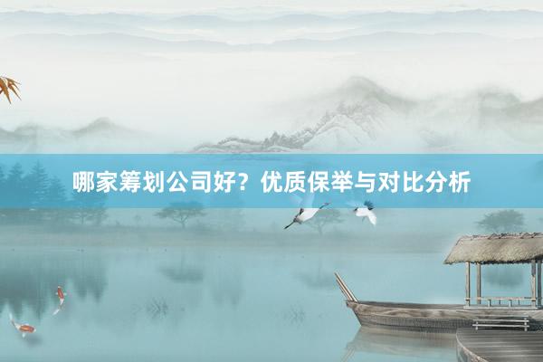哪家筹划公司好？优质保举与对比分析