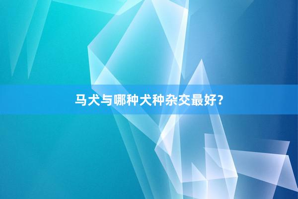 马犬与哪种犬种杂交最好？